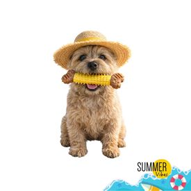 Summer Vibes Chew Bone Mordedor em Formato de Osso para c&atilde;es