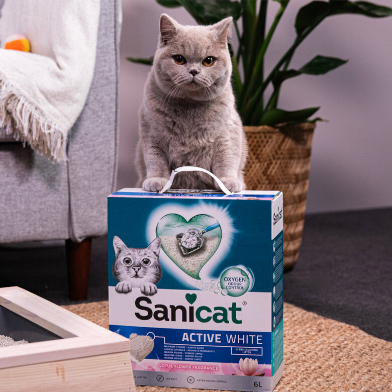 10 L Sanicat Active Lotus Areia Aglomerante,  Imagem número 4 10 L Sanicat Active Lotus Areia Aglomerante, , large Imagem número 4