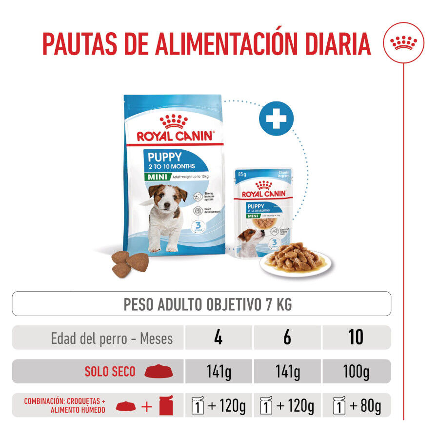 8 kg Royal Canin Mini Puppy ra&ccedil;&atilde;o para c&atilde;es, , large Imagem n&uacute;mero 8