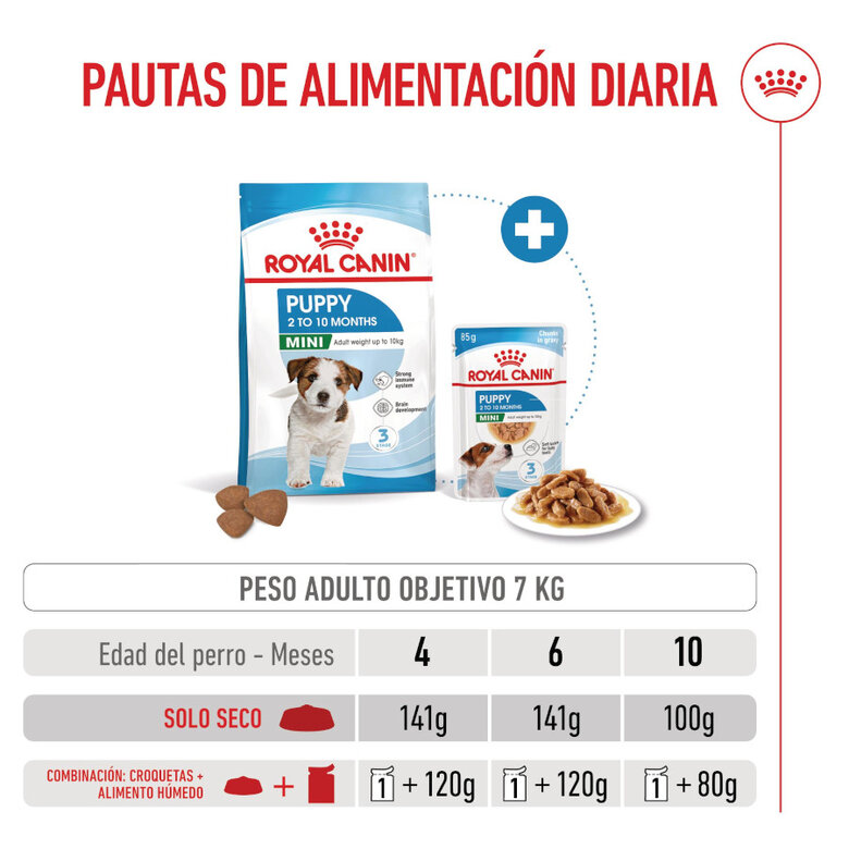 8 kg Royal Canin Mini Puppy ração para cães,  Imagem número 8 8 kg Royal Canin Mini Puppy ração para cães, , large Imagem número 8