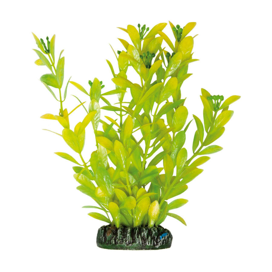 ICA Aquatic Plants Hygrophilous Polysperma planta artificial para aqu&aacute;rios, , large Imagem n&uacute;mero 1