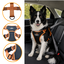 Outech X-perience Arn&ecirc;s de Carro para c&atilde;es, , large Indicador imagem n&uacute;mero 3