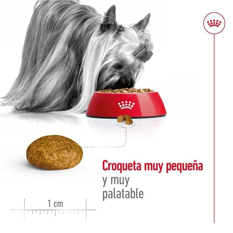 3 kg Royal Canin X-Small Adult ração para cães,  Imagem número 6 3 kg Royal Canin X-Small Adult ração para cães, , large Imagem número 6