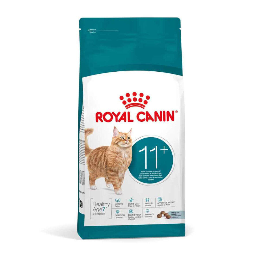 4 kg Royal Canin Ageing 11+ ra&ccedil;&atilde;o para gatos, , large Imagem n&uacute;mero 1