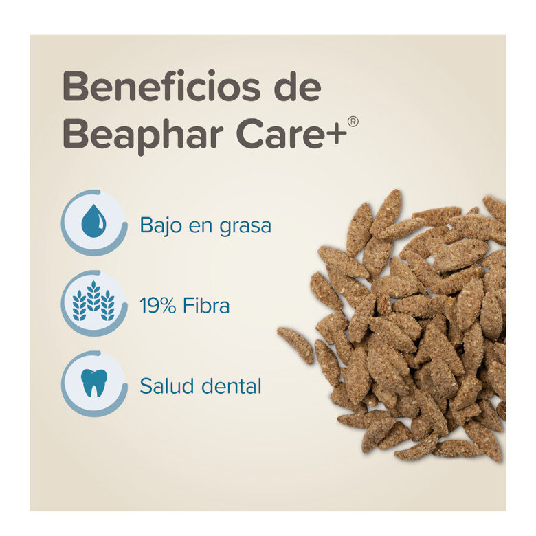 Beaphar Care+ ração para chinchilas,  Imagem número 3 Beaphar Care+ ração para chinchilas, , large Imagem número 3