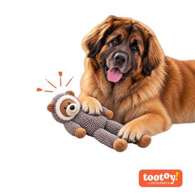 Tootoy! Comfort Jumbo Racoon Peluche para c&atilde;o
