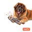 Tootoy! Comfort Jumbo Racoon Peluche para c&atilde;o, , large Indicador imagem n&uacute;mero 7