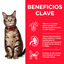 85 g Hill's Science Plan Adult Frango saqueta para gatos, , large Indicador imagem número 2