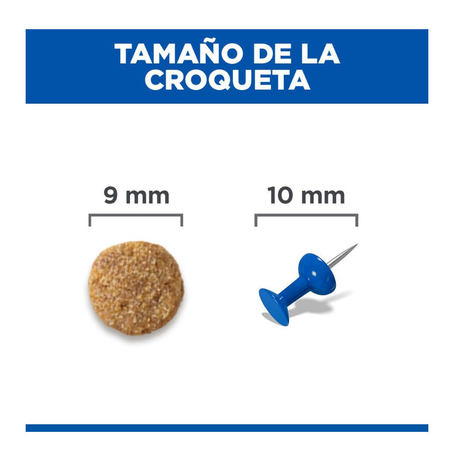 1.5 kg Hill's Science Plan Adult Ra&ccedil;&atilde;o de salm&atilde;o para gatos, , large Imagem n&uacute;mero 9