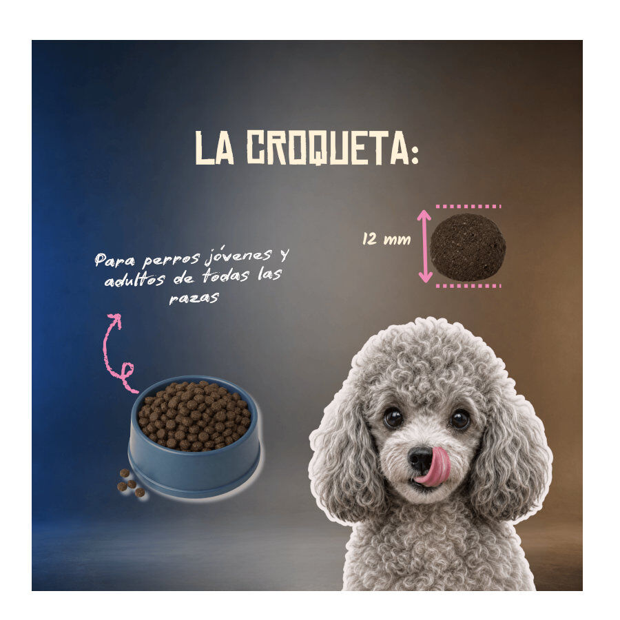 10 kg Lenda Grain Free Ra&ccedil;&atilde;o de Peru para c&atilde;es, , large Imagem n&uacute;mero 6