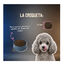 10 kg Lenda Grain Free Ra&ccedil;&atilde;o de Peru para c&atilde;es, , large Indicador imagem n&uacute;mero 6