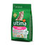 Affinity Ultima Feline junior Indicador imagem número 2