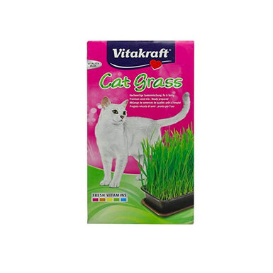 Vitakraft Cat-Grass Catnip
