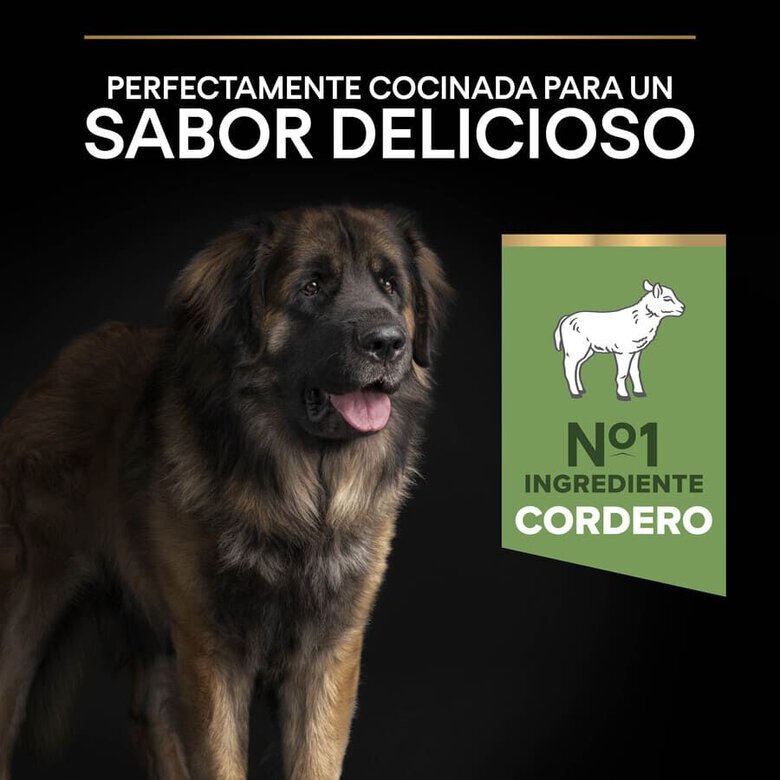14 kg Pro Plan Adult Large Robust Digestão Cordeiro ração para cães,  Imagem número 7 14 kg Pro Plan Adult Large Robust Digestão Cordeiro ração para cães, , large Imagem número 7