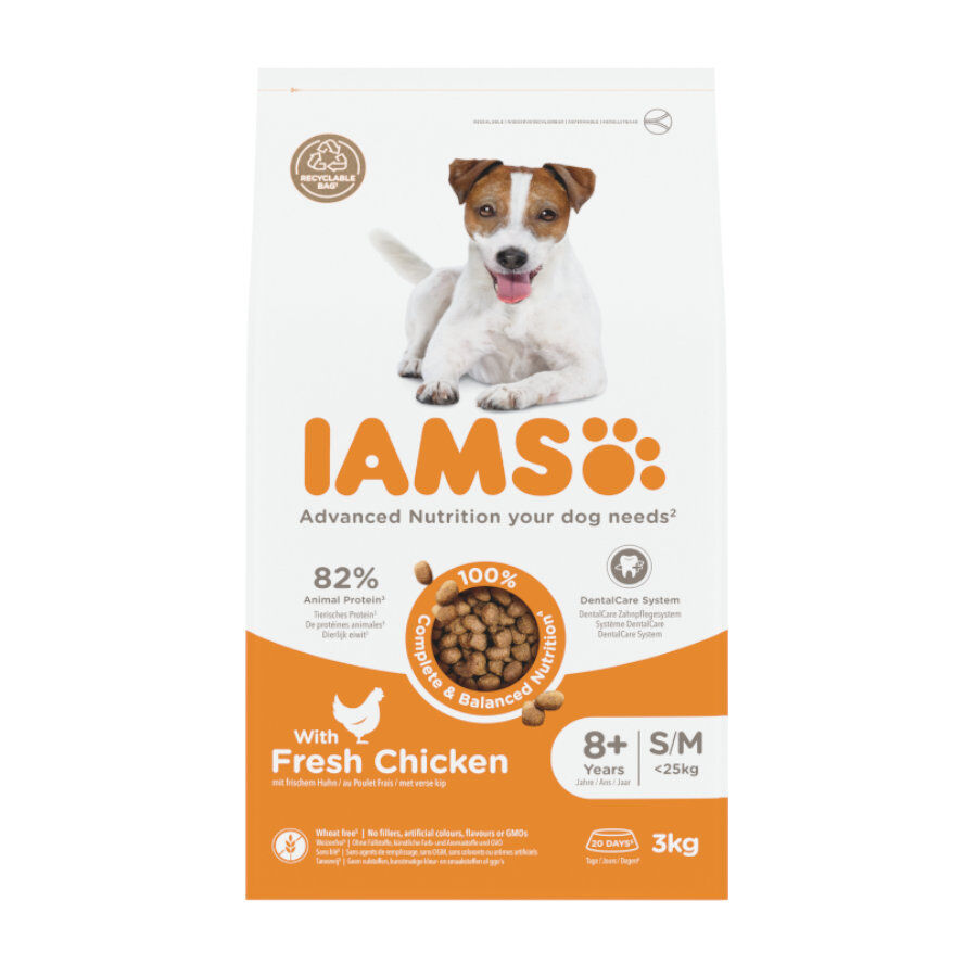 3 kg IAMS Senior Mini&Medium ra&ccedil;&atilde;o para c&atilde;es, , large Imagem n&uacute;mero 1