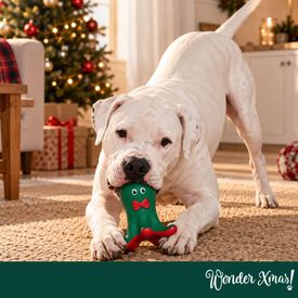 Wonder Christmas Polvo L&aacute;tex Brinquedo para c&atilde;es
