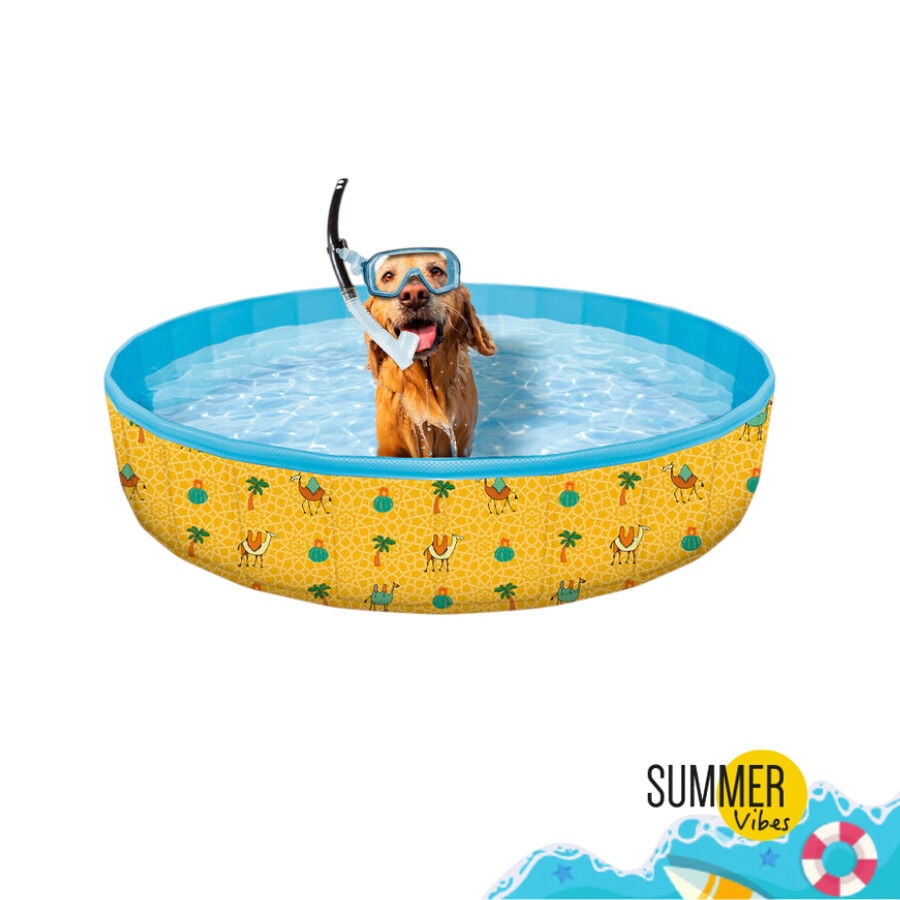 Summer Vibes Piscina para c&atilde;es, , large Imagem n&uacute;mero 2