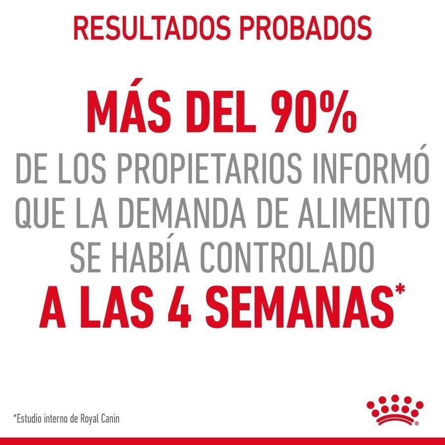 10 kg Royal Canin Appetite Control Care ra&ccedil;&atilde;o para gatos , , large Imagem n&uacute;mero 5