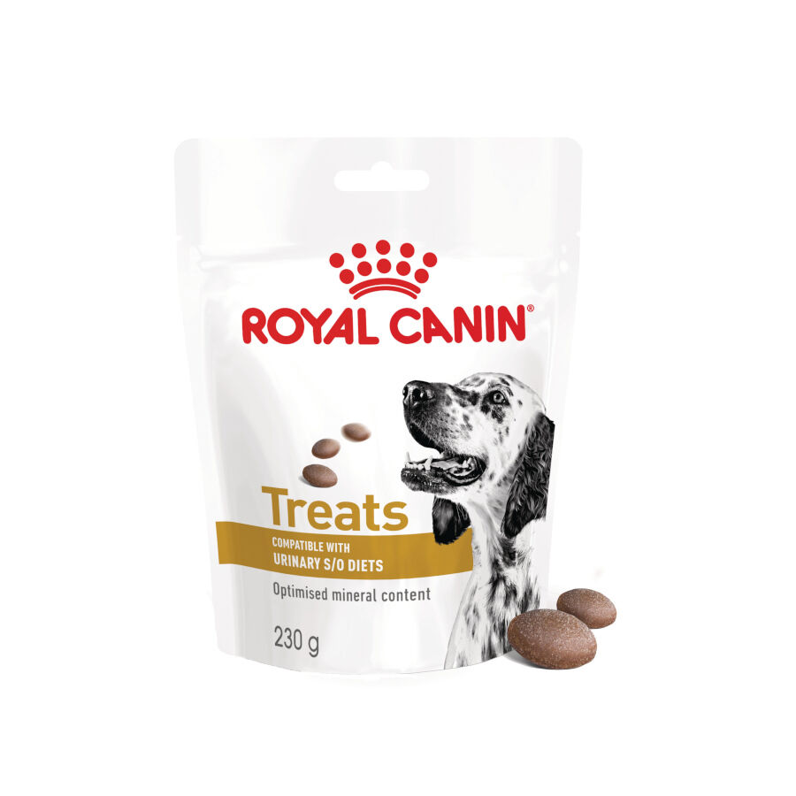230 g Royal Canin Treats Urinary Snacks para c&atilde;es, , large Imagem n&uacute;mero 1