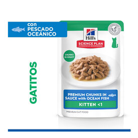 Hill's Kitten Science Plan Peixe Azul saqueta em molho