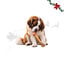 1 un. Wonder Christmas Osso Gigante de Couro Prensado Snacks para C&atilde;es, , large Indicador imagem n&uacute;mero 1