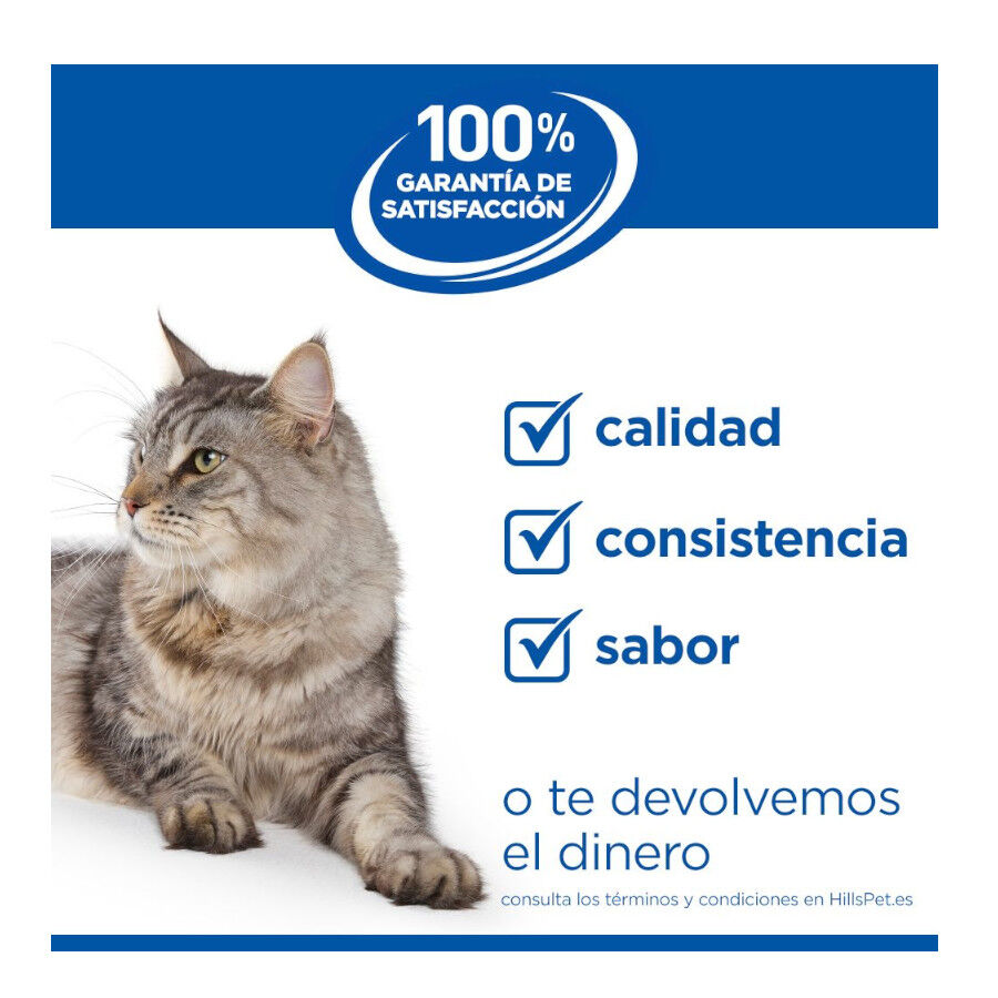 1.5 kg Hill's Science Plan Adult Ra&ccedil;&atilde;o de salm&atilde;o para gatos, , large Imagem n&uacute;mero 11