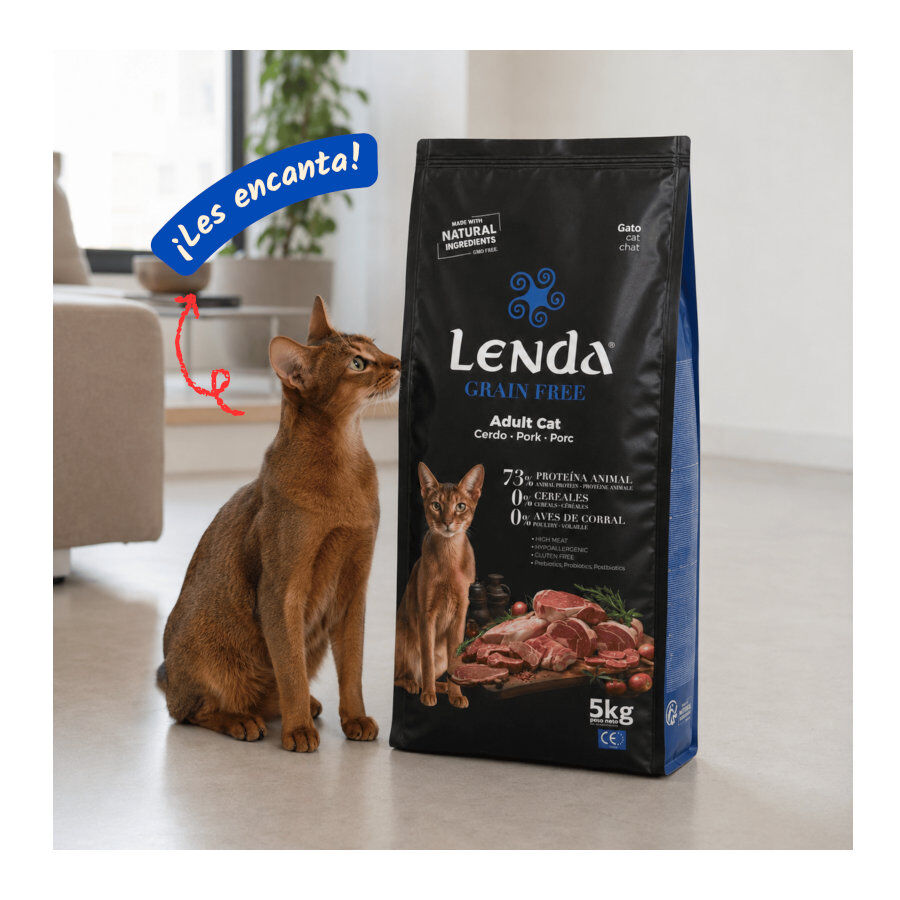 2 Kg Lenda Grain Free Ra&ccedil;&atilde;o de Porco para gatos, , large Imagem n&uacute;mero 5