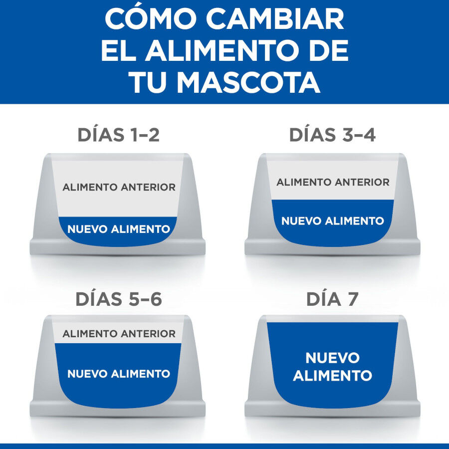 363 g Hill's Adult Science Plan Perfect Digestion frango ra&ccedil;&atilde;o para c&atilde;es, , large Imagem n&uacute;mero 10