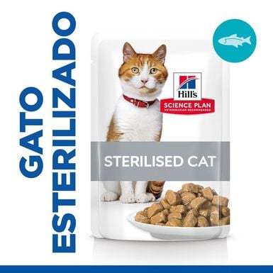 Hill's Young Adult Science Plan Sterilised Truta Saqueta em Molho para gatos