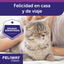 Feliway Spray com feromonas  tranquilizantes para gatos, , large Indicador imagem número 8
