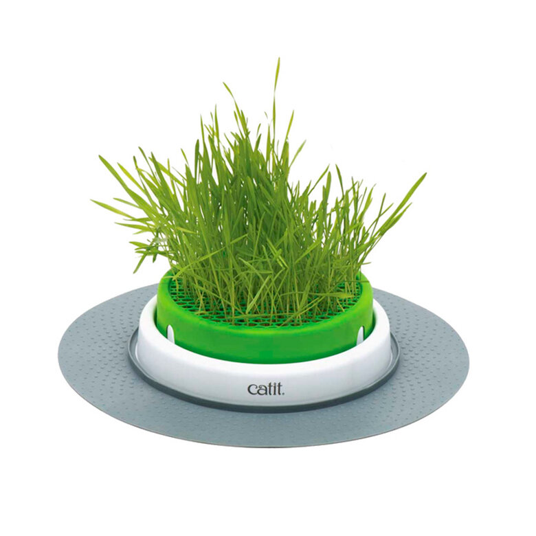 accesoriors_gatos_catit_senses_2_0_gras_planter_full_CAI43161W_M Imagem número 1 Germinador de Hierba Gatera Catnip 2.0 de Catit para gato Imagem número 1