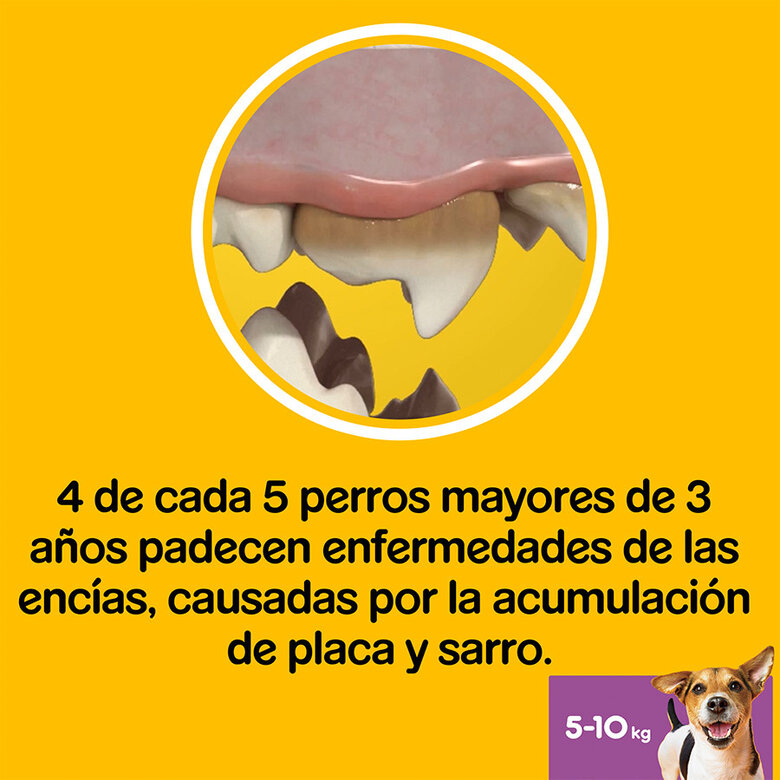 28 sticks Pedigree Dentastix Fresh Snacks Dentários para Cães Pequenos,  Imagem número 7 28 sticks Pedigree Dentastix Fresh Snacks Dentários para Cães Pequenos, , large Imagem número 7