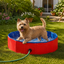 Summer Vibes Fresh Pool Piscina Vermelha para c&atilde;es, , large Indicador imagem n&uacute;mero 1