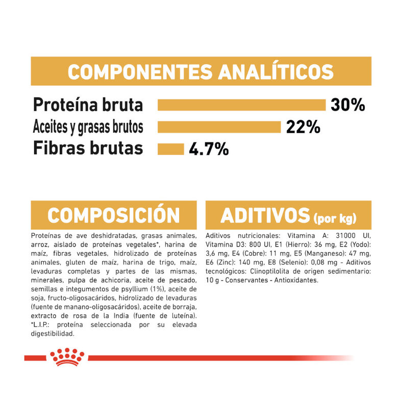 10 kg Royal Canin Persa ração para gatos adultos,  Imagem número 7 10 kg Royal Canin Persa ração para gatos adultos, , large Imagem número 7