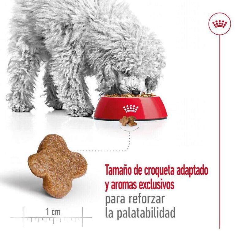 8 kg Royal Canin Mini 8+ Adult ração para cães,  Imagem número 7 8 kg Royal Canin Mini 8+ Adult ração para cães, , large Imagem número 7