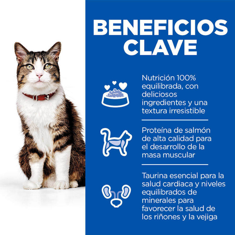 10 kg Hill's Science Plan Culinary Creations Ração de salmão e cenoura para gatos,  Imagem número 5 10 kg Hill's Science Plan Culinary Creations Ração de salmão e cenoura para gatos, , large Imagem número 5