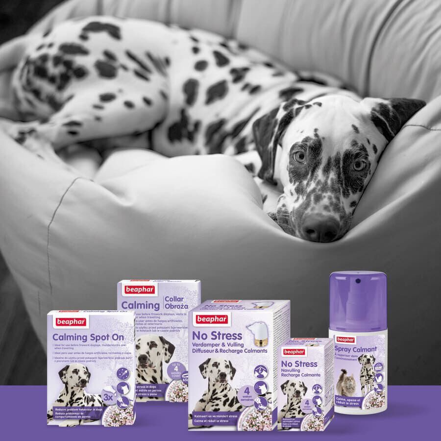 Beaphar No-Stress Difusor e Recarga Anti Stress para c&atilde;es, , large Imagem n&uacute;mero 5