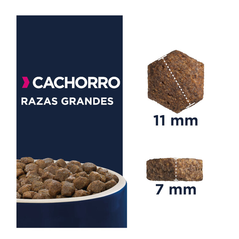 15 kg Eukanuba Puppy Large Breed Frango raçao para cães,  Imagem número 2 15 kg Eukanuba Puppy Large Breed Frango raçao para cães, , large Imagem número 2