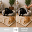 Nice Care Detergente limpa superf&iacute;cies para c&atilde;es e gatos, , large Indicador imagem n&uacute;mero 4