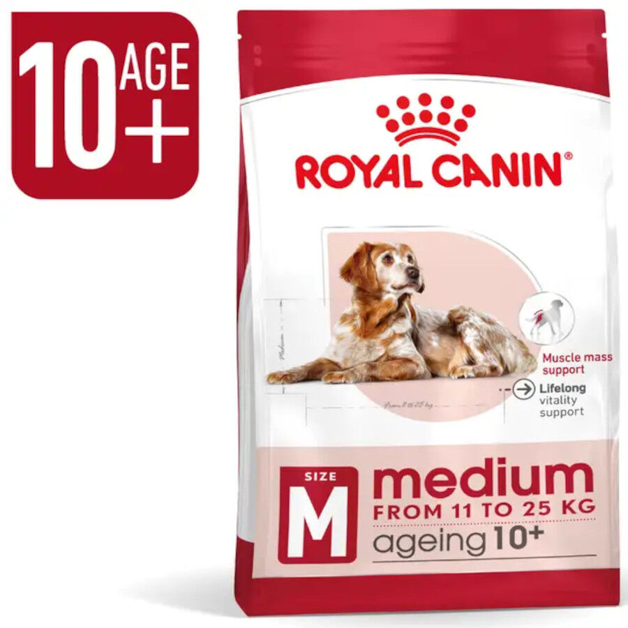 15 kg Royal Canin Medium 10+ Ageing ra&ccedil;&atilde;o para c&atilde;es, , large Imagem n&uacute;mero 3
