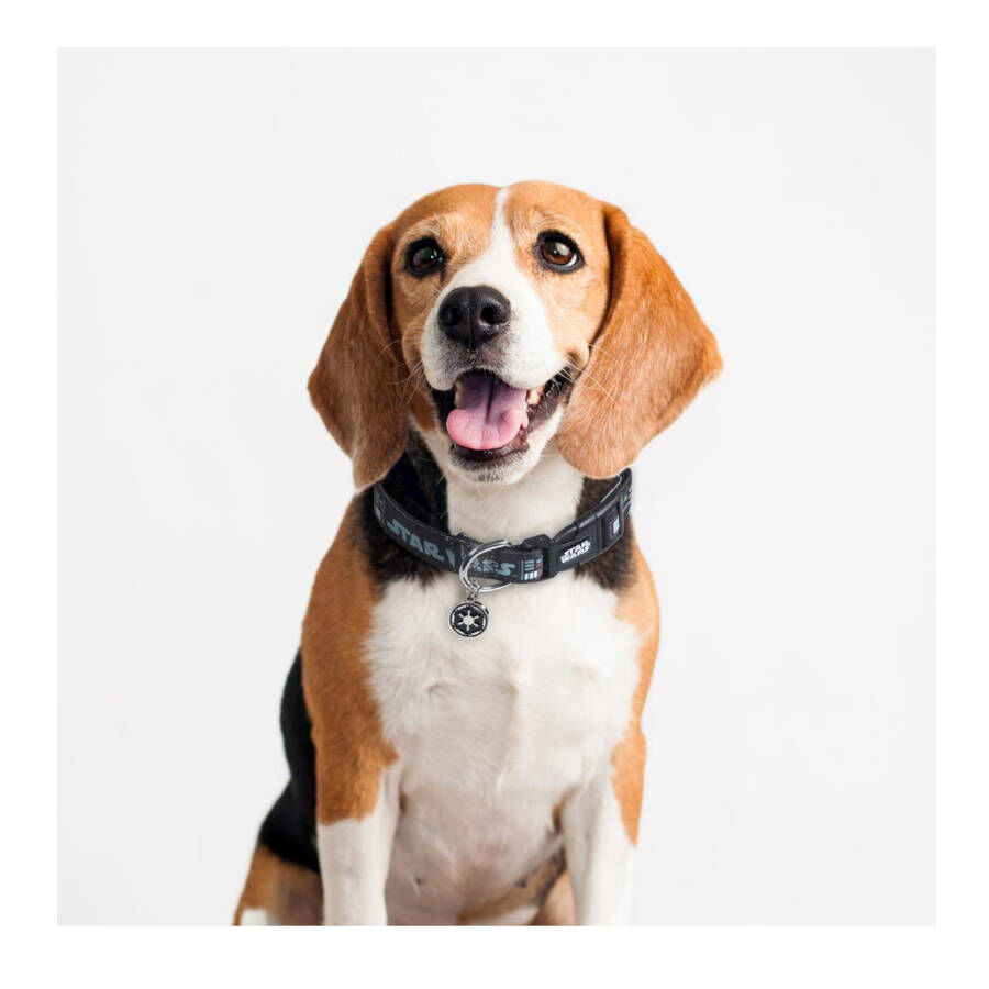 Disney Disney Star Wars Coleira com estampado para c&atilde;es, , large Imagem n&uacute;mero 3