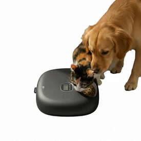 All For Paws Lifestyle Comedouro automático preto para cães e gatos