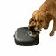 All For Paws Lifestyle Comedouro autom&aacute;tico preto para c&atilde;es e gatos, , large Indicador imagem n&uacute;mero 4
