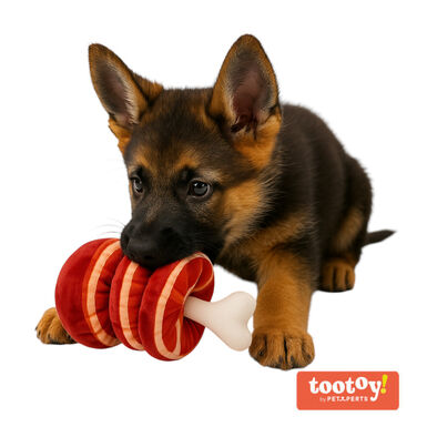 Tootoy! Comfort Beefy Thigh Cuddler peluche com som para cães