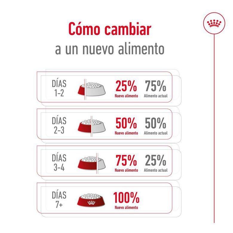 15 kg Royal Canin Maxi Adult 5+ ra&ccedil;&atilde;o para c&atilde;es seniores de ra&ccedil;a grande, , large Imagem n&uacute;mero 3