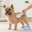Bloob Escova de pinos e cerdas para c&atilde;es, , large Indicador imagem n&uacute;mero 2