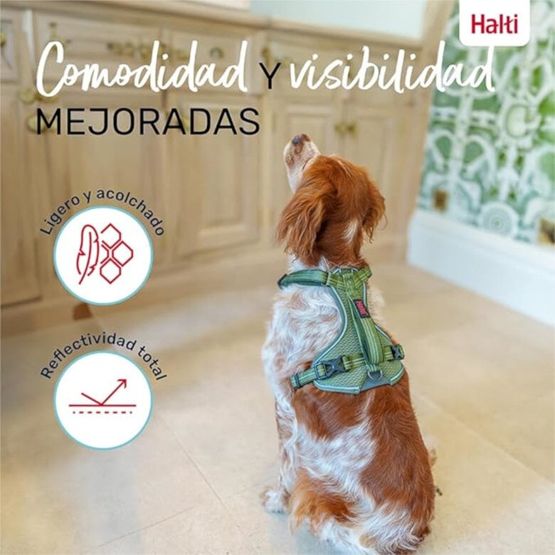 Halti Peitoral Anatómico Verde para cães pequenos,  Imagem número 5 Halti Peitoral Anatómico Verde para cães pequenos, , large Imagem número 5