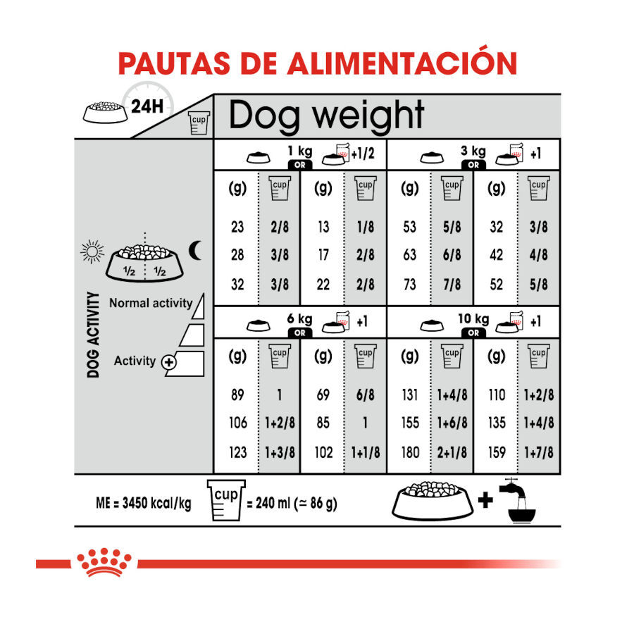 8 kg Royal Canin Mini Sterilised ra&ccedil;&atilde;o para c&atilde;es, , large Imagem n&uacute;mero 8