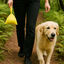 Nice Care Basic Bolsitas Rollos Limón para perros, , large Indicador imagem número 4