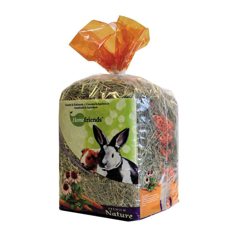Home Friends Heno Cenoura para roedores, , large Imagem n&uacute;mero 1